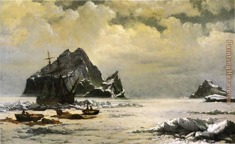 Morning on the Artic Ice Fields painting - William Bradford Morning on the Artic Ice Fields art painting